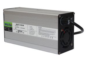 Laddare Lifepo4 12 V - 20 A